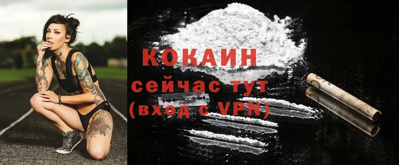 где продают   Морозовск  Cocaine Эквадор 